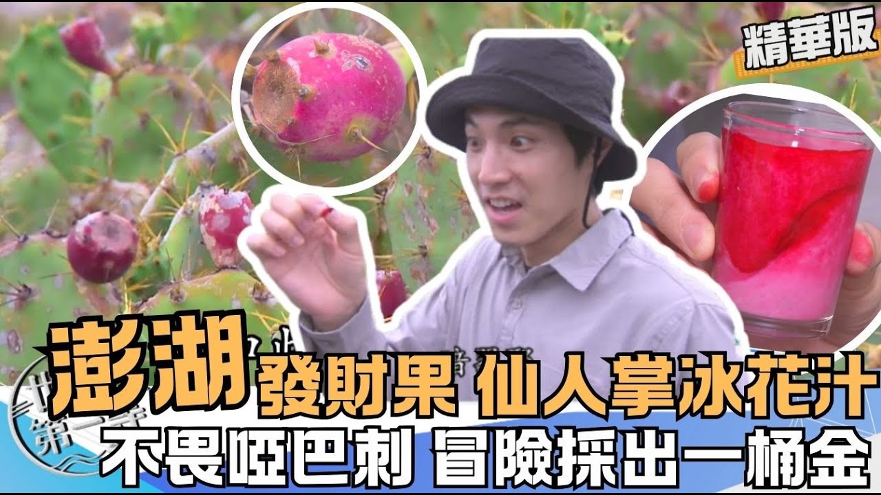 【澎湖 】季節限定冰鎮滋味 仙人掌冰花果汁 古早味仙人掌涼糕《世界第一等》1055集精華 唐振剛