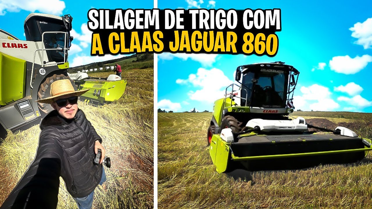 Silagem de TRIGO com a CLAAS JAGUAR 860 / ROÇA VLOG