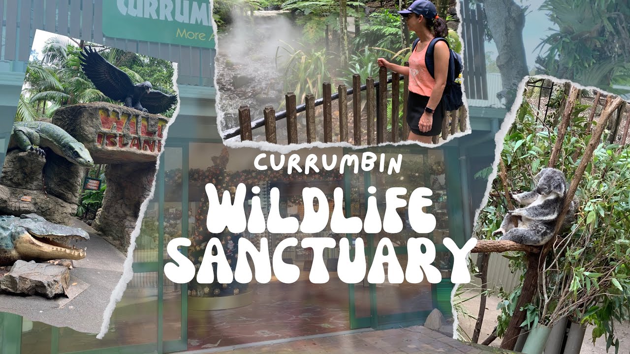 Currumbin Wildlife Sanctuary | Gold Coast, Australia