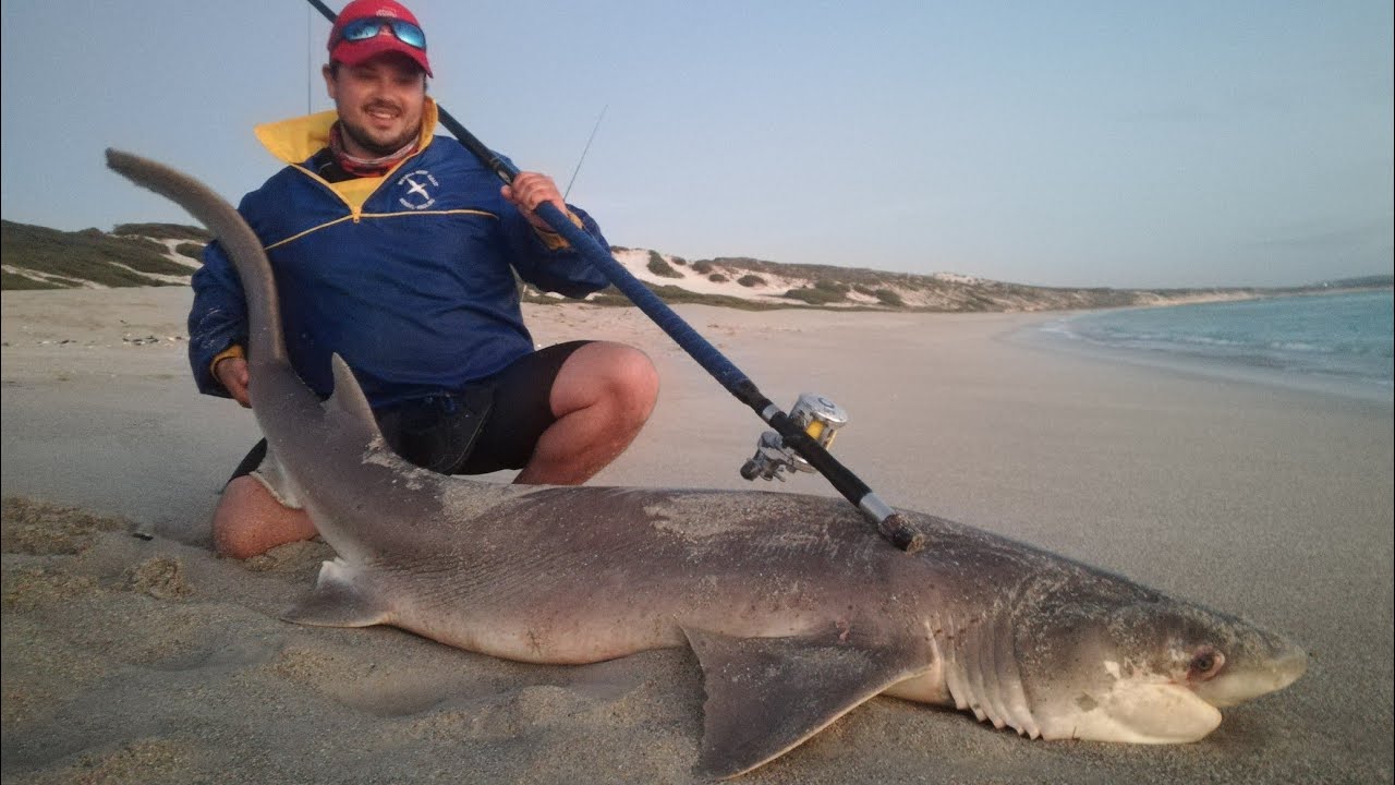 EP 3 - Weskus | Spreeuwalle | Hengel Vir Groot Haaie | 81.7 KG !!!
