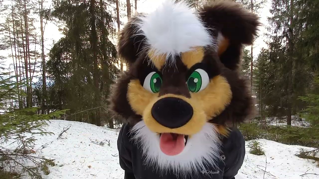 furry dancing norwegian rain dance (lofi nature asmr)