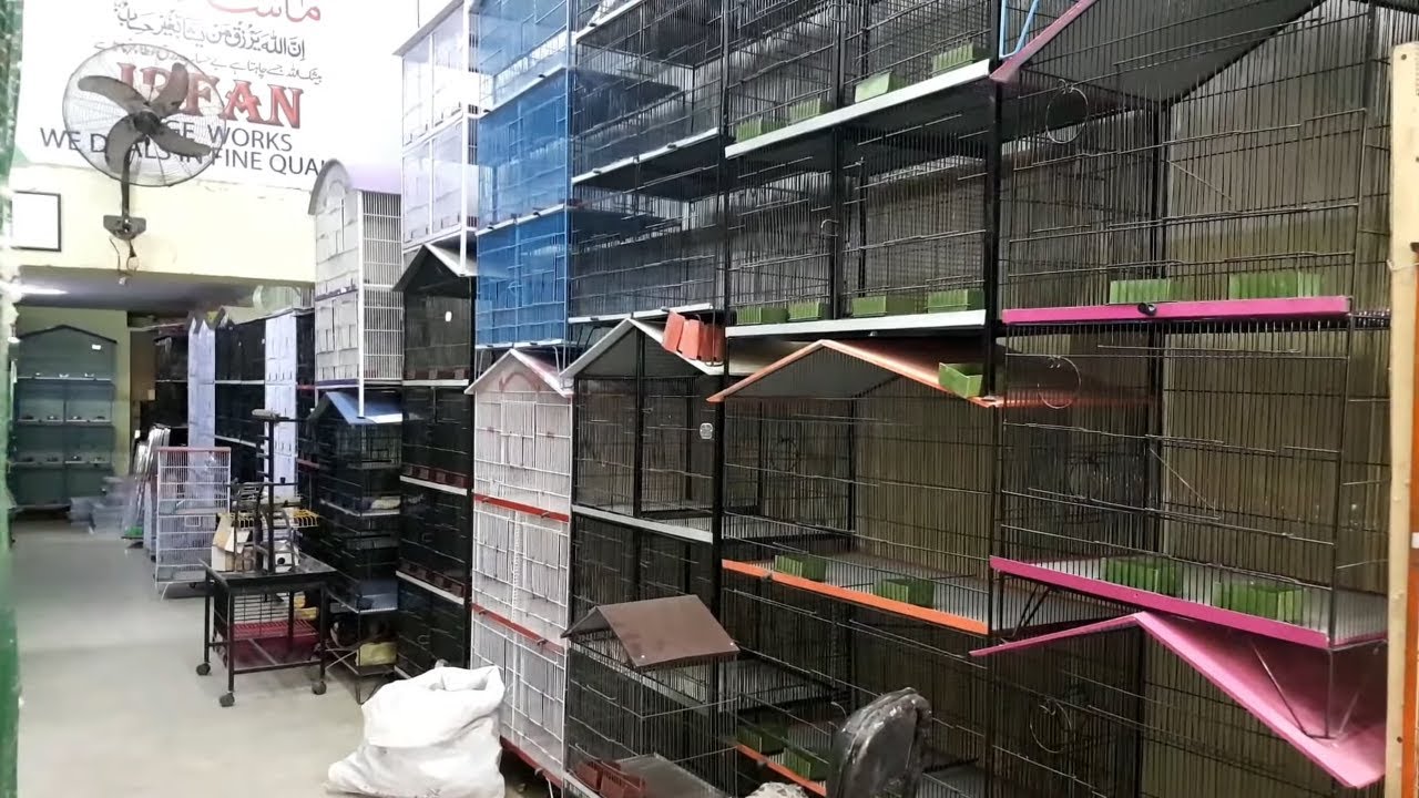 Irfan New Cage Shop | Macaw Cage | Cockatoo Cage 2020