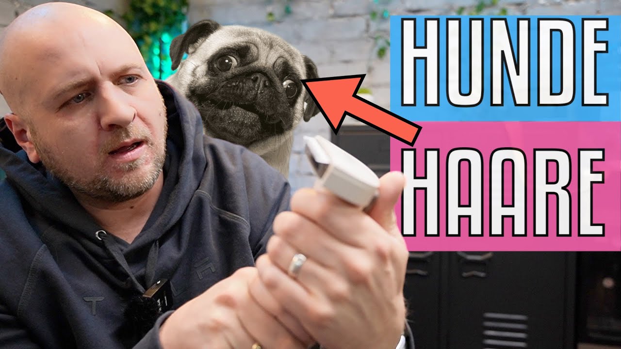 Hundeschermaschine mit Absaugfunktion: Wie Du Deinen Hund ohne Chaos und Stress scheren kannst