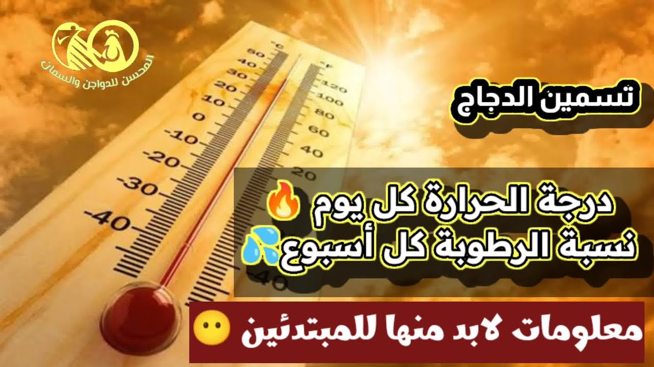 معلومات مهمة لكل مربي دواجن مبتدئ♦️١♦️درجات الحرارة ونسبة الرطوبة المثالية لكل يوم دورة تسمين الفراخ