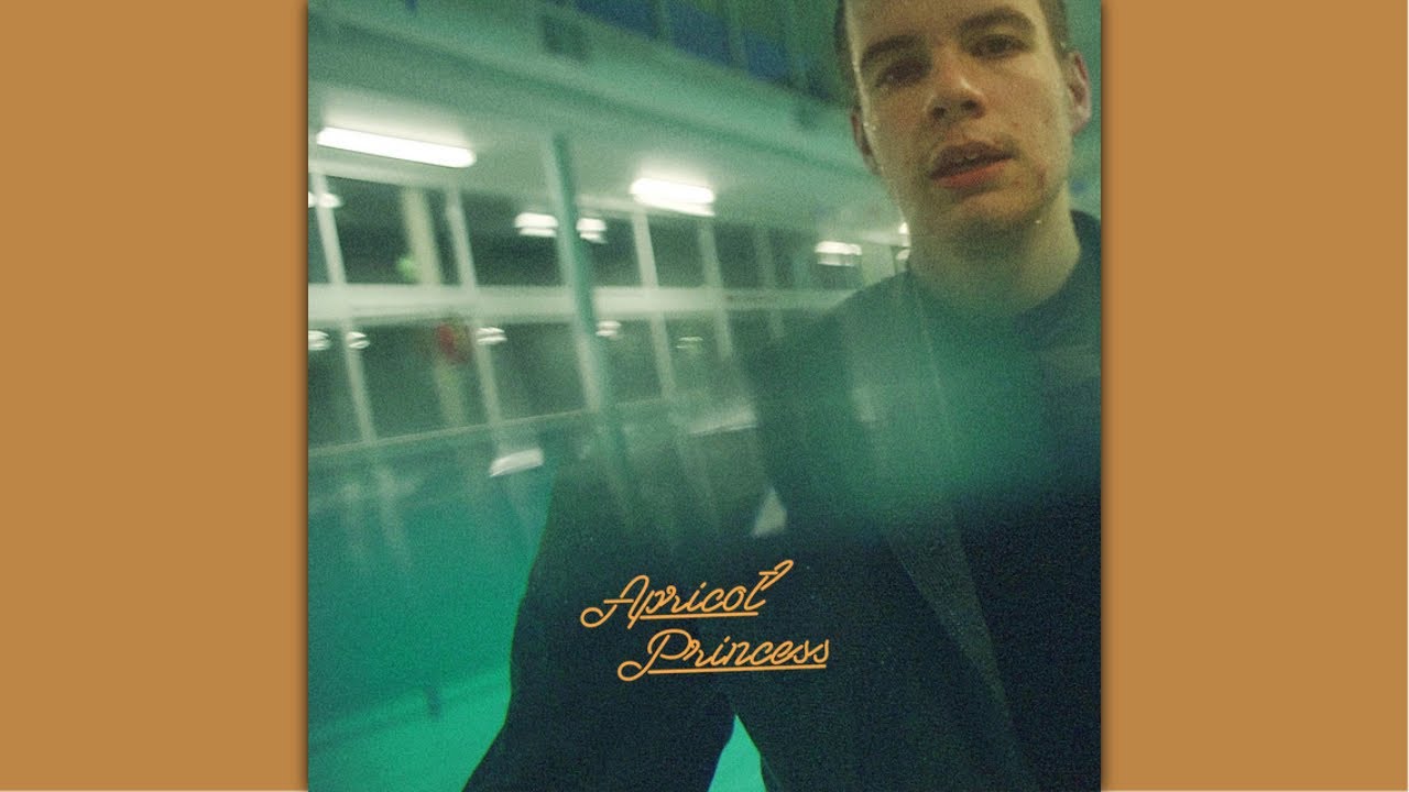 Rex Orange County - Apricot Princess