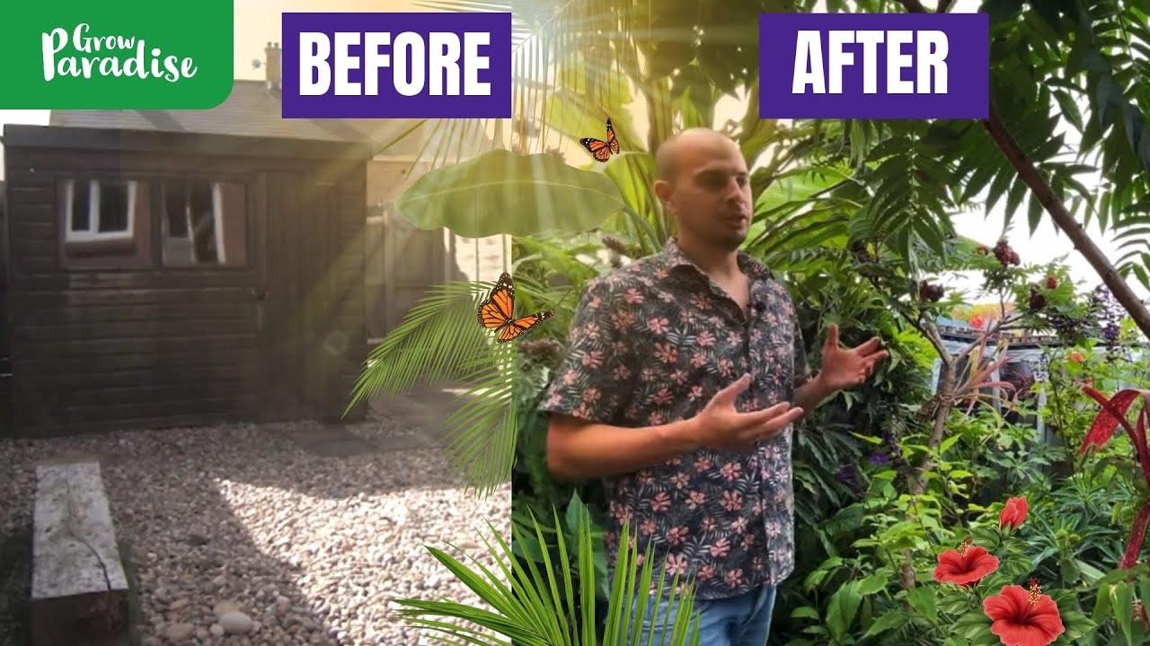 Tropical garden design & build - 4 years in 5 minutes