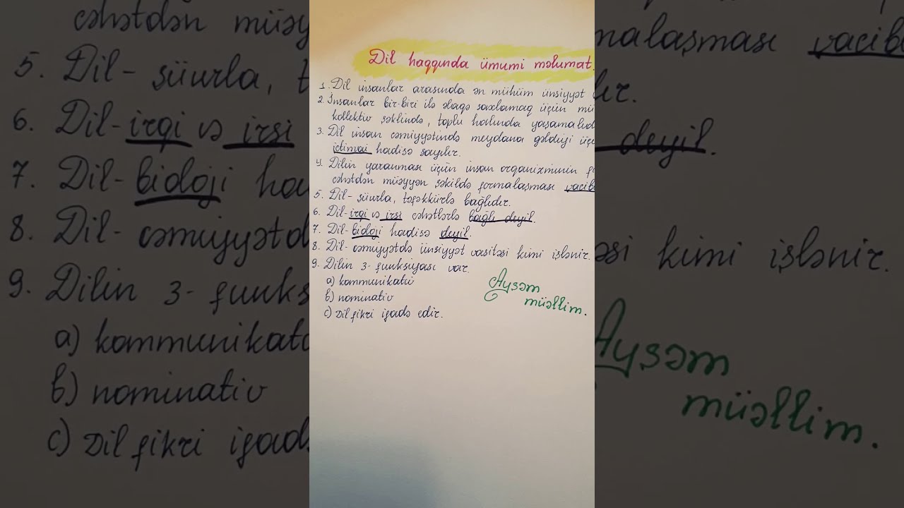Dil haqqında ümumi məlumat