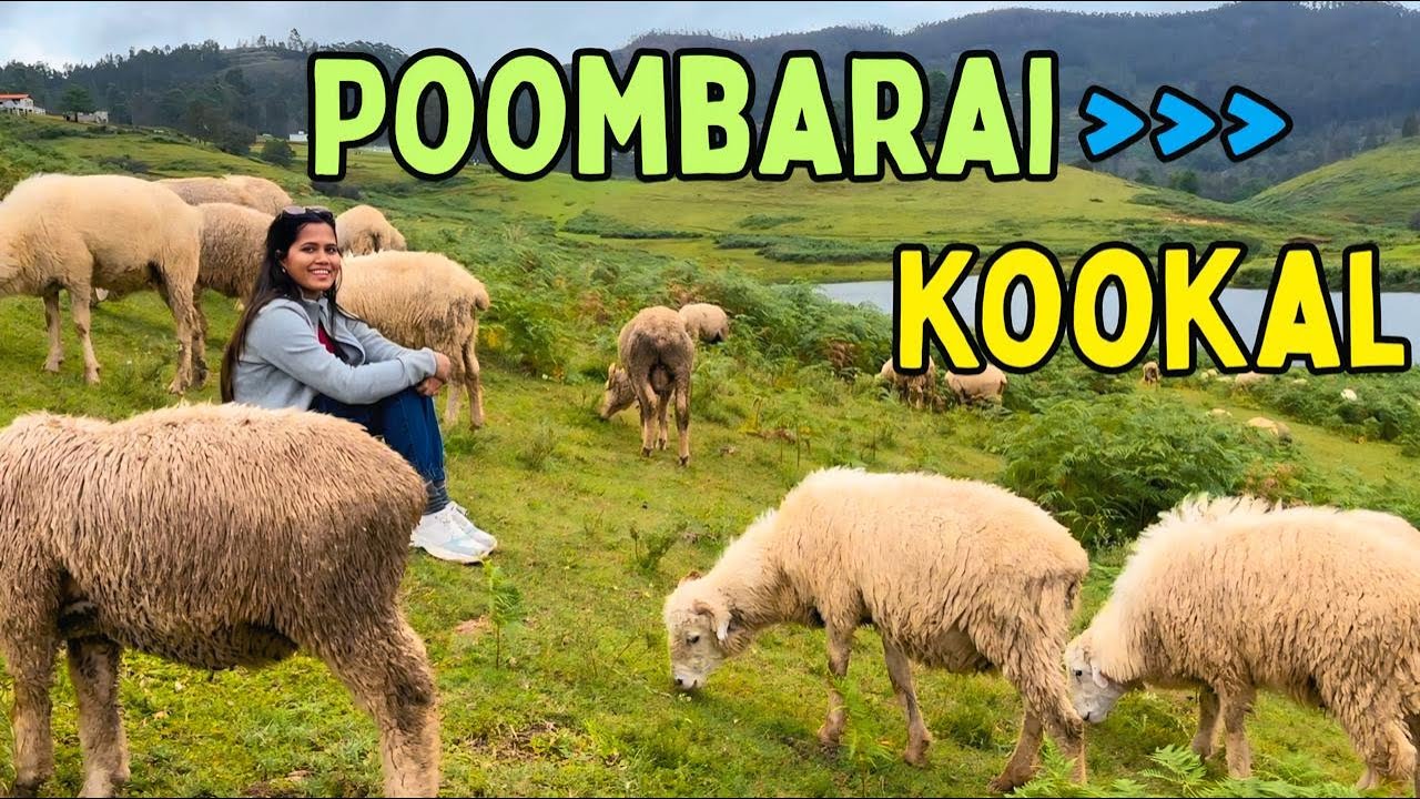 Untouched Paradise of Kodaikanal | Top 8 Places to visit in Poombarai, Kookal, Mannavanur|Hidden gem
