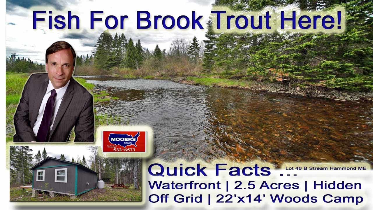 Off Grid Camp On Water In Maine | $29,500 | B Stream