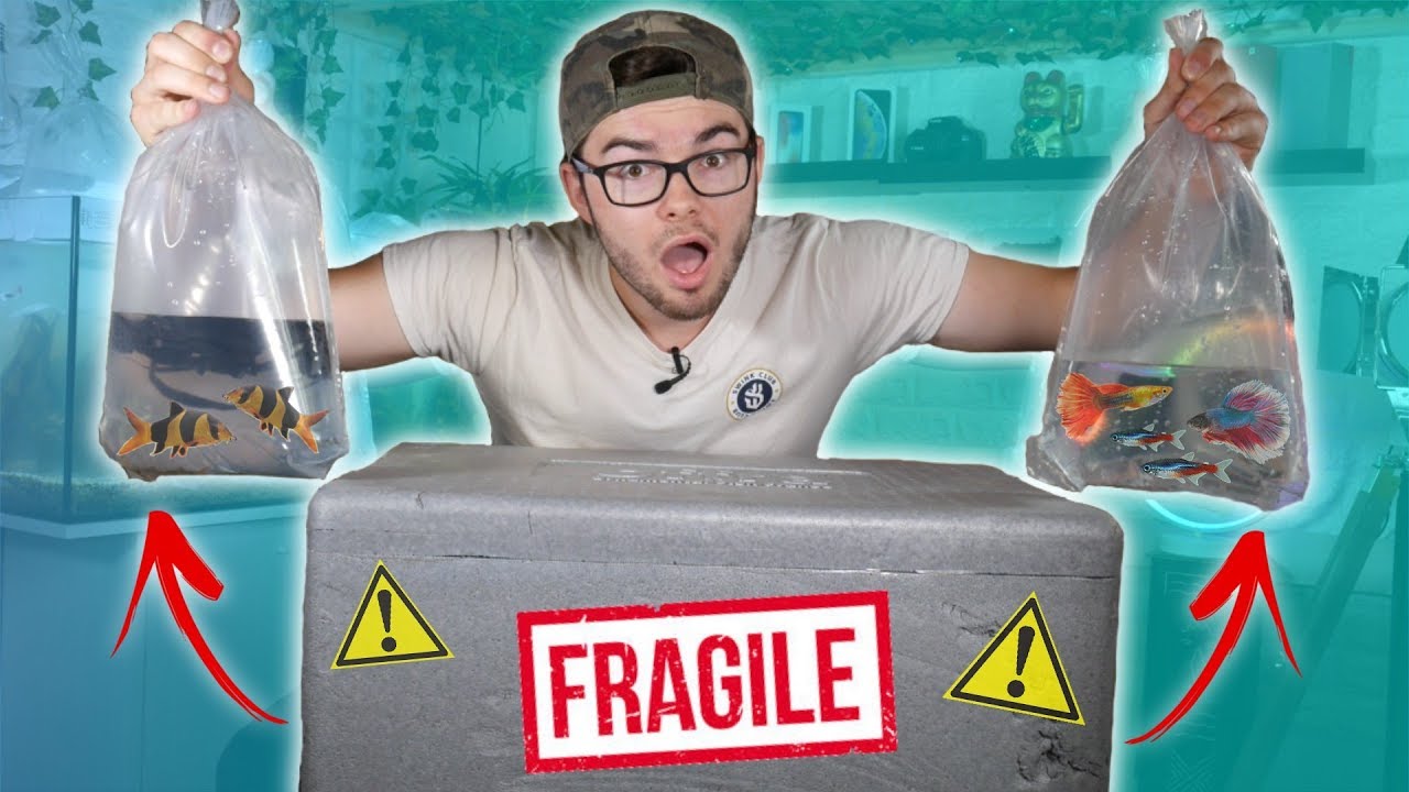 THIS PACKAGE CONTAINS FISH! (Unboxing)