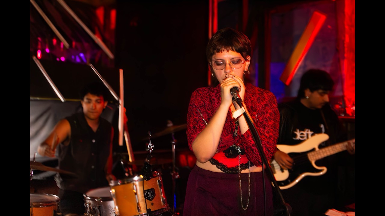 EL ÚLTIMO ANIMAL EN VIVO- Journal, Viña del mar
