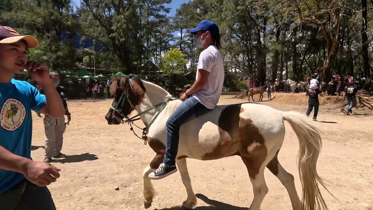 Panagbenga 2023 | Astig! No Saddle Horse Race! Pony Boy's Day at Wright Park, Baguio City