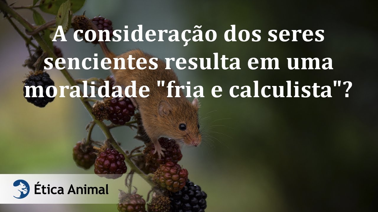 24 - A considera&ccedil;&atilde;o dos seres sencientes resulta em uma moralidade 