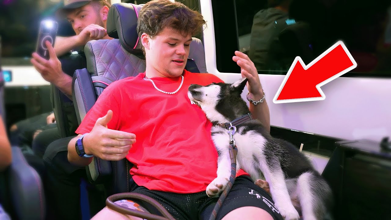 Someone Gave Me Thier Dog Off The Street...