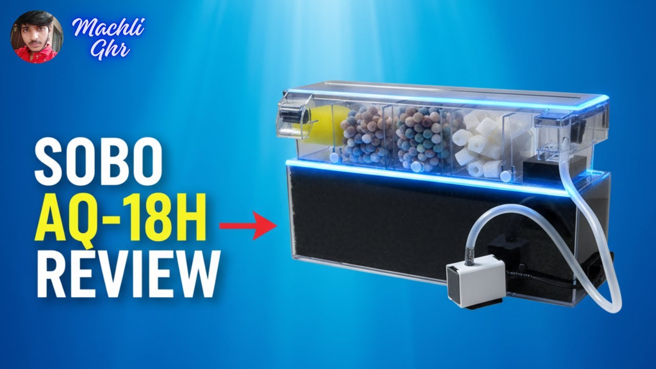 SOBO AQ-18H Waterfall Filter Review | 500 LPH Flow Test + Installation Guide #sobo #filter