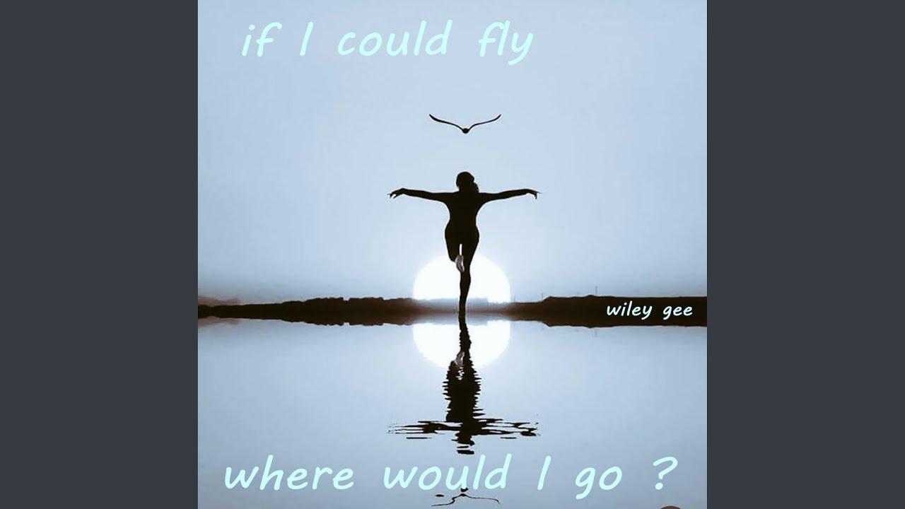 if I could fly, where would i go ?