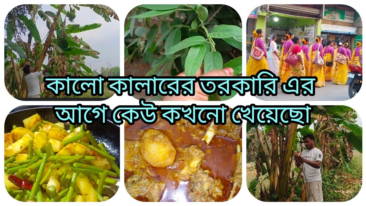 গাদাল পাতা দিয়ে কলার তরকারি করার জন্য কলা পারতে গিয়ে শেষ পর্যন্ত কলার পারা হলো না