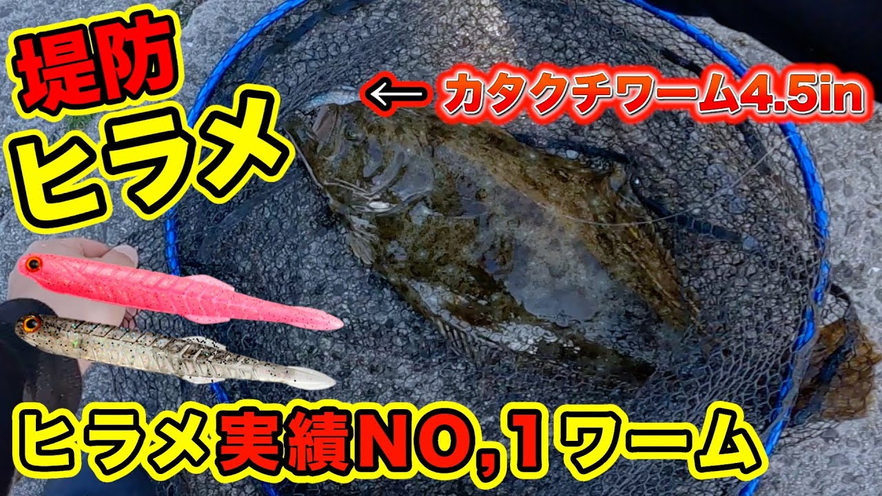 【堤防ヒラメ】ヒラメ釣りはこの実績NO,1ワームで決まり！第57話
