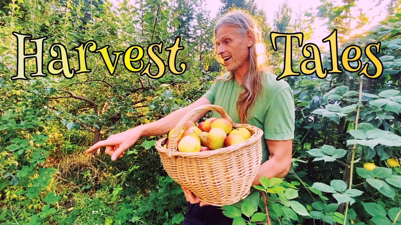 Жатвенные истории ~2025