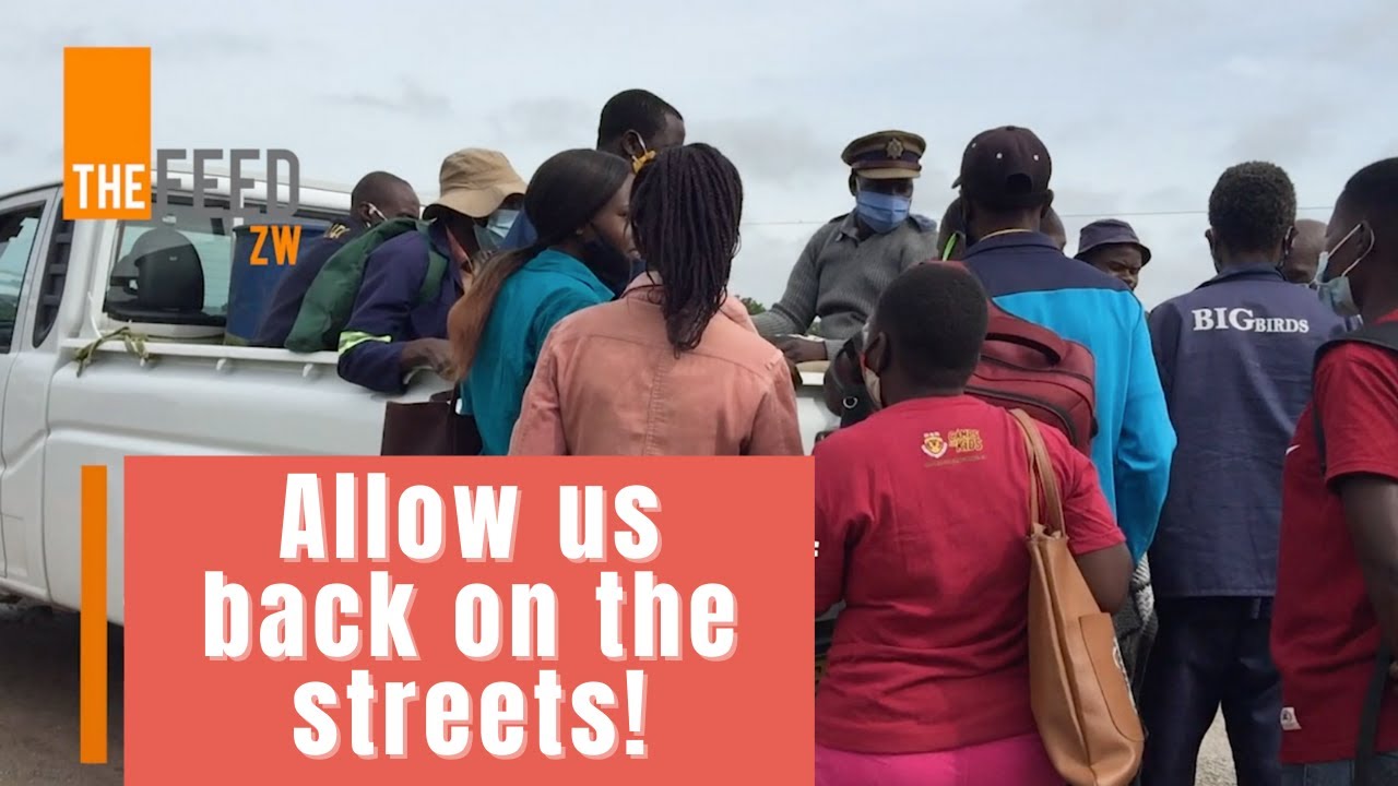 Bring Us Back On The Streets - Kombi Operators Lament | TheFeedZW | Newsbite