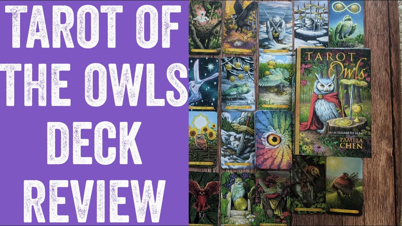What a HOOT! Tarot of the Owls: Deck Review