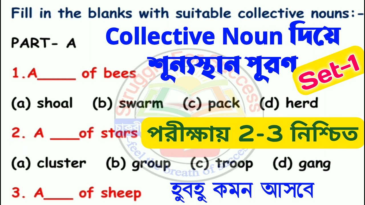 Collective Noun Practice Set 01 | Most Important Collective Nouns List | Objective English |