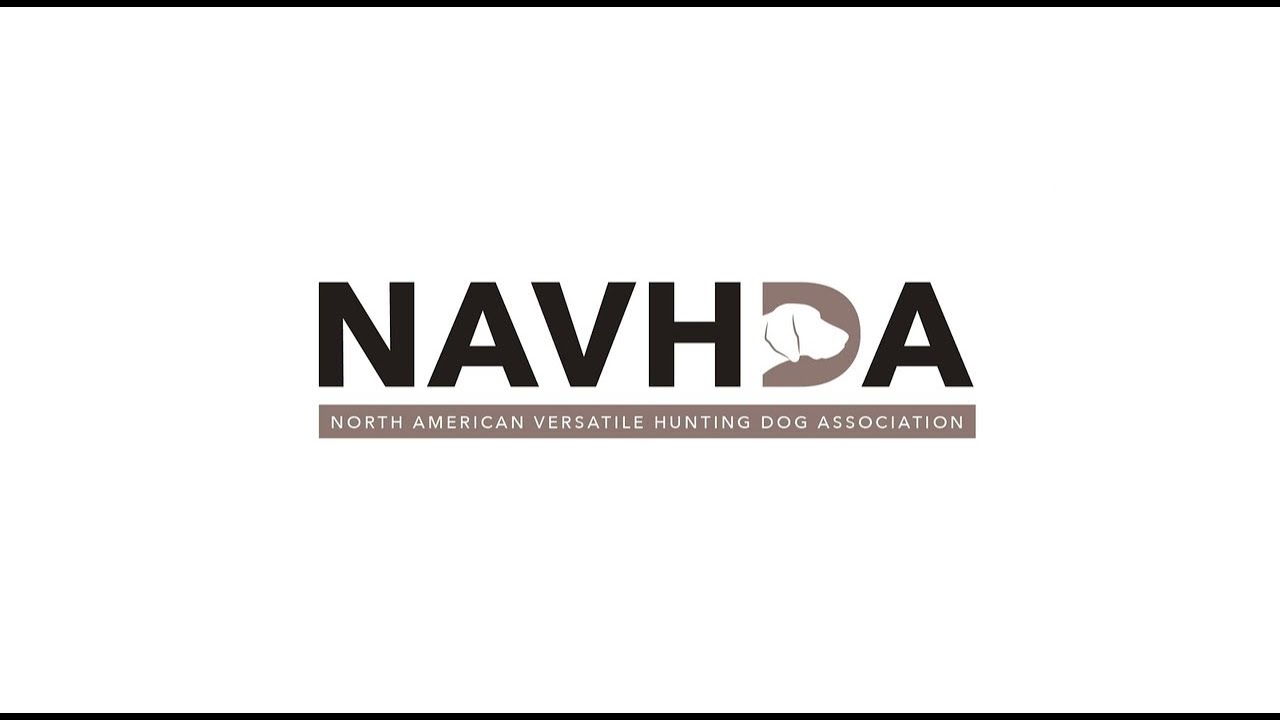 NAVHDA UtilityTest (UT)