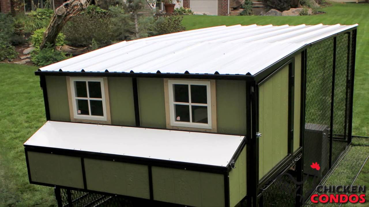 Chicken Coop Windows from Chicken Condos