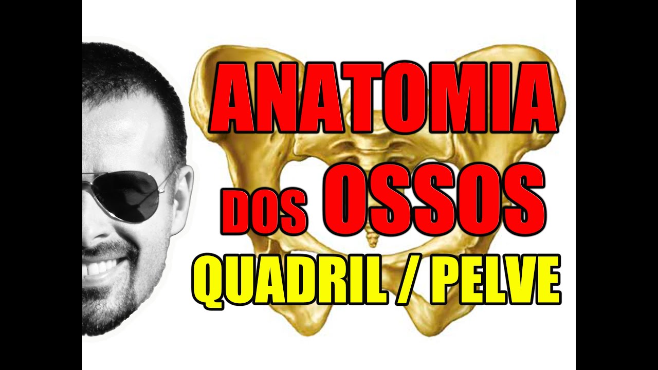 Acidentes ósseos do Quadril (Pelve ou Osso Pélvico) - Sistema Ósseo/Esquelético - VideoAula 056