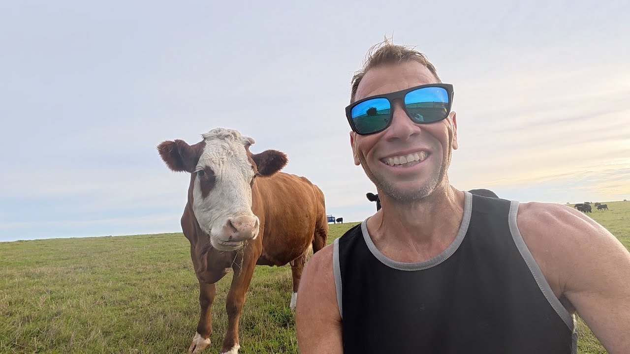 Another week, another easy run on the hills