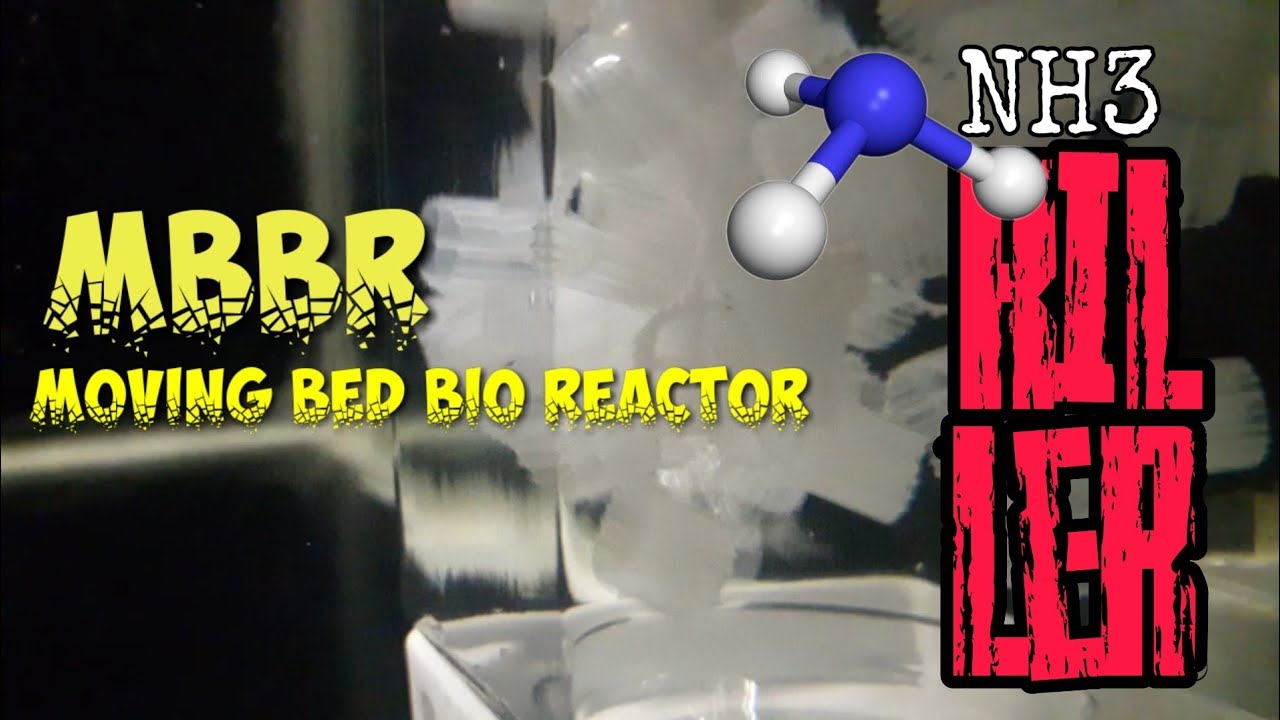 MBBR (Moving Bed Bio Reactor ) kaldness k1 micro