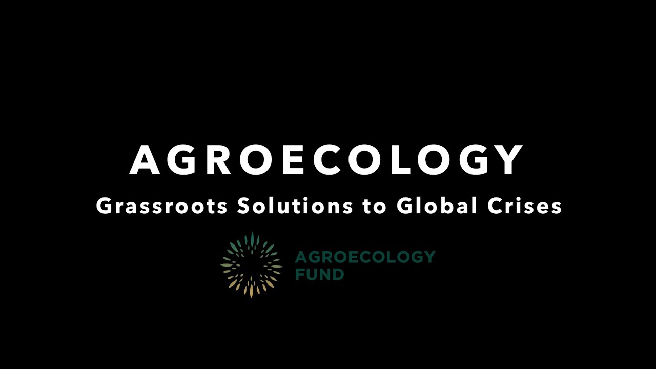Agroecology Grassroots Solutions to Global Crises