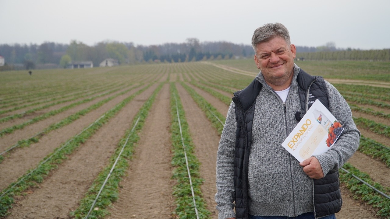 Start truskawek &ndash; fertygacja i regeneracja plantacji po zimie, Zbigniew Marek, 15.04.2026