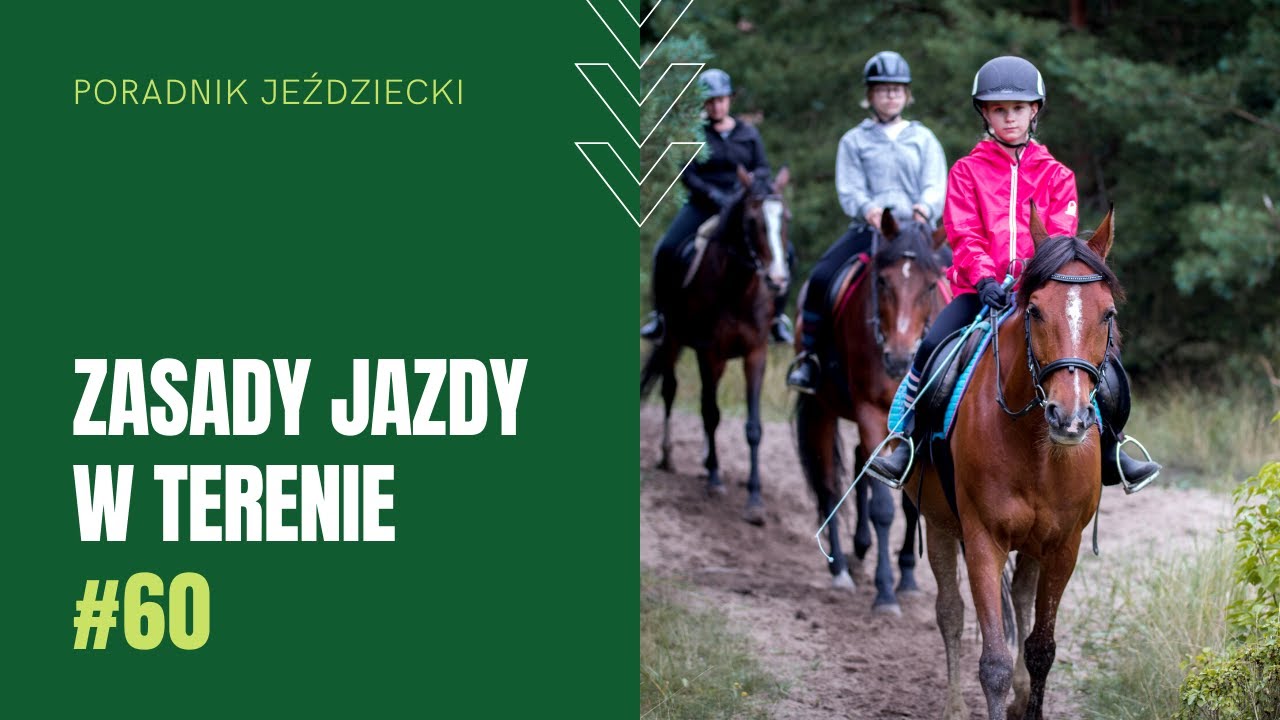 ZASADY JAZDY W TERENIE | Poradnik jeździecki #60