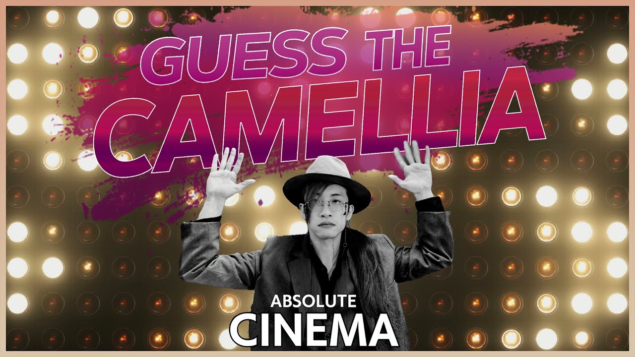 Guess The Camellia 1