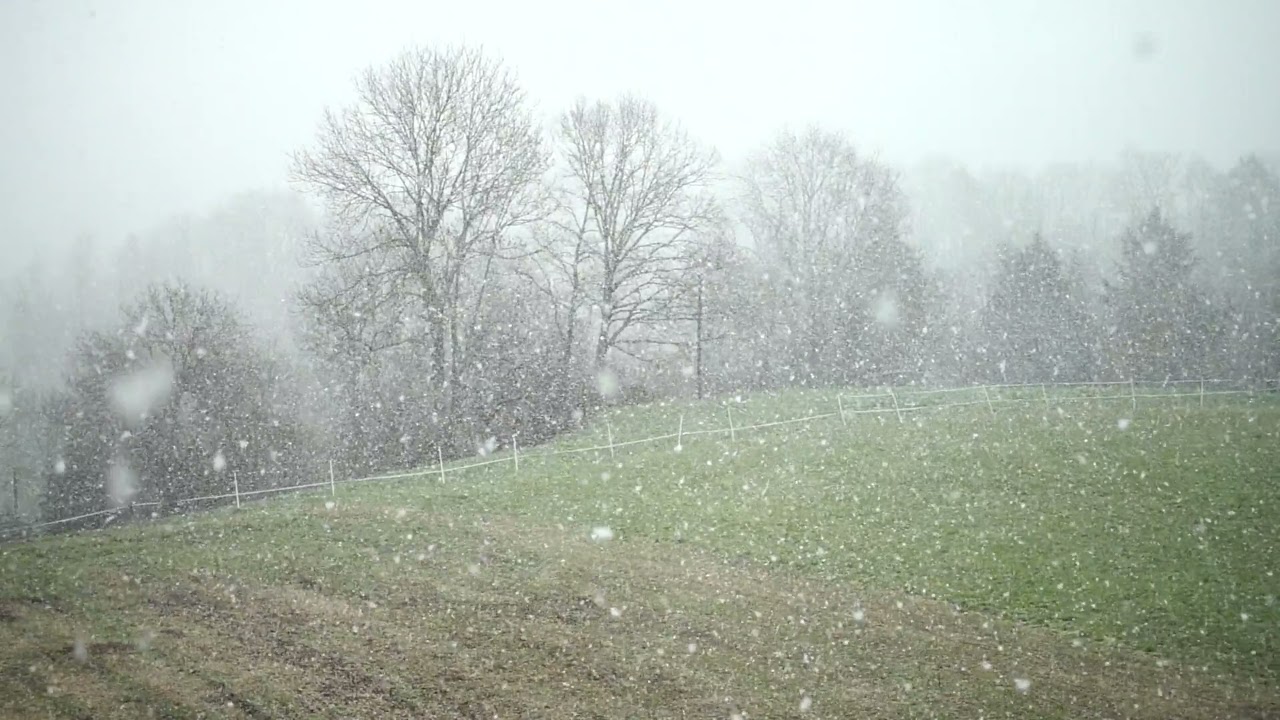 Entspannungsmusik - Schneefall am Waldrand