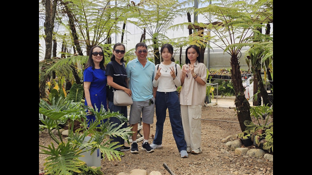 Tet Binh Ngo   Da Lat 2026 0