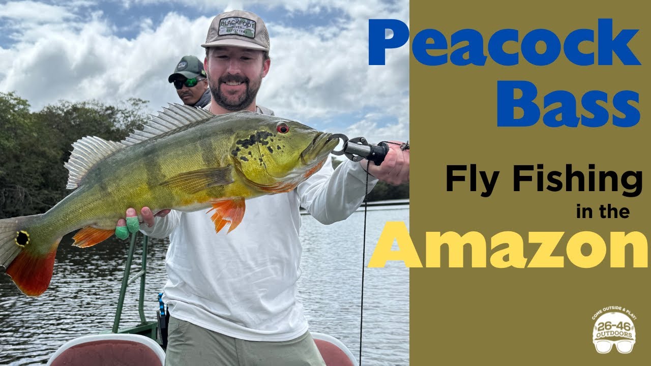Peacock Bass: Fly Fishing in the Amazon Rainforest