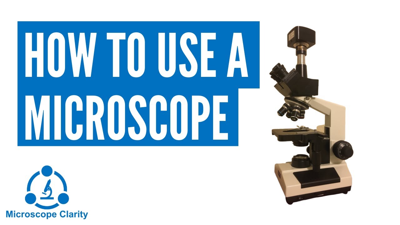 How to Use a Microscope