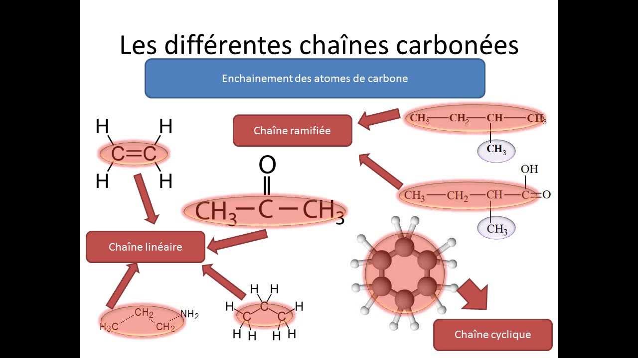 Cha&icirc;ne carbon&eacute;e et groupes caract&eacute;ristiques