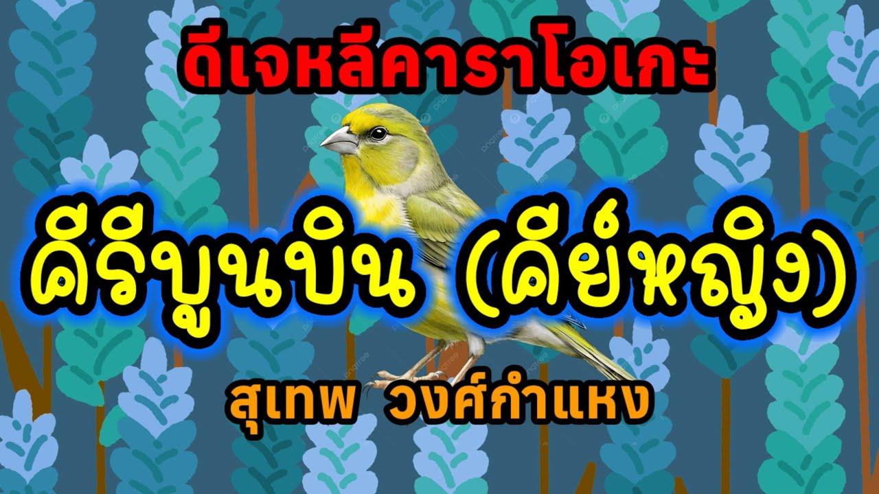 คีรีบูนบิน (คีย์ ญ.) - คาราโอเกะ