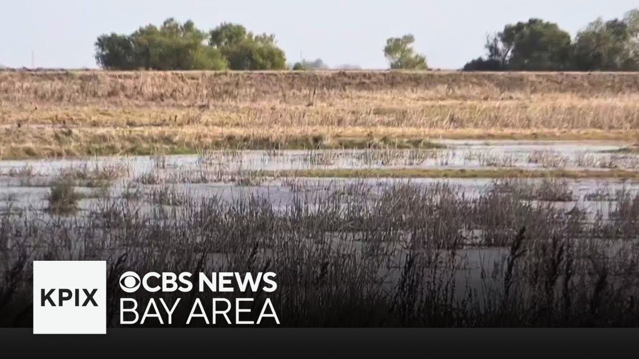 Stanford researcher studying how California can save more rainwater underground