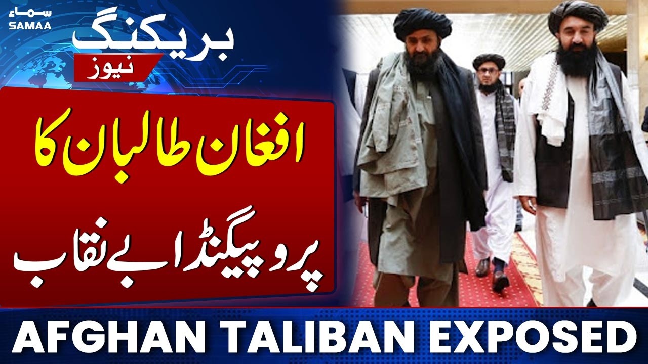 Afghan Tal!ban Propaganda Exposed: Information Ministry Questions Deleted AI Clip | SAMAA NEWS