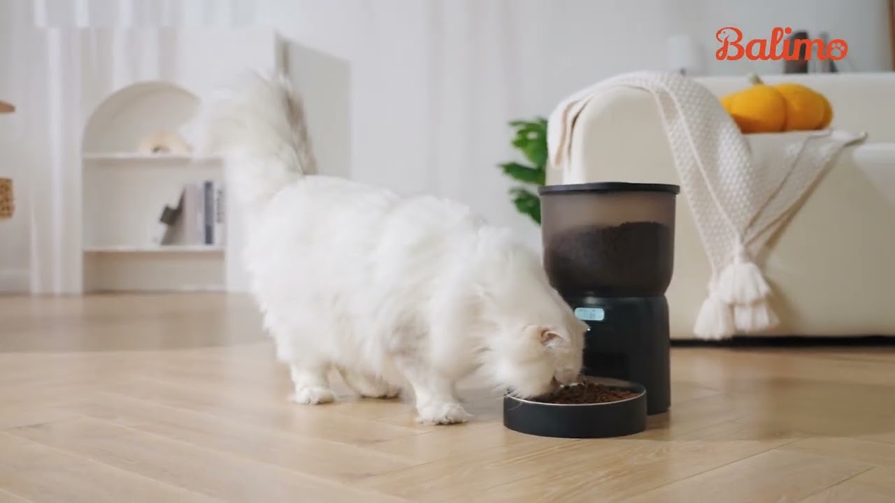 💞《2023  Hiver limité》💞 Balimo 3L Distributeur Croquettes Chat Automatique