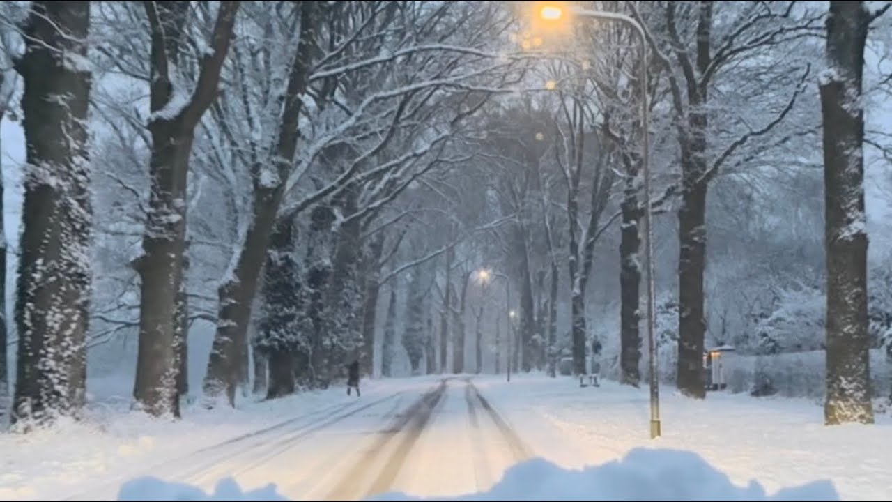 Sneeuw bij de Posbank | 5 januari 2025