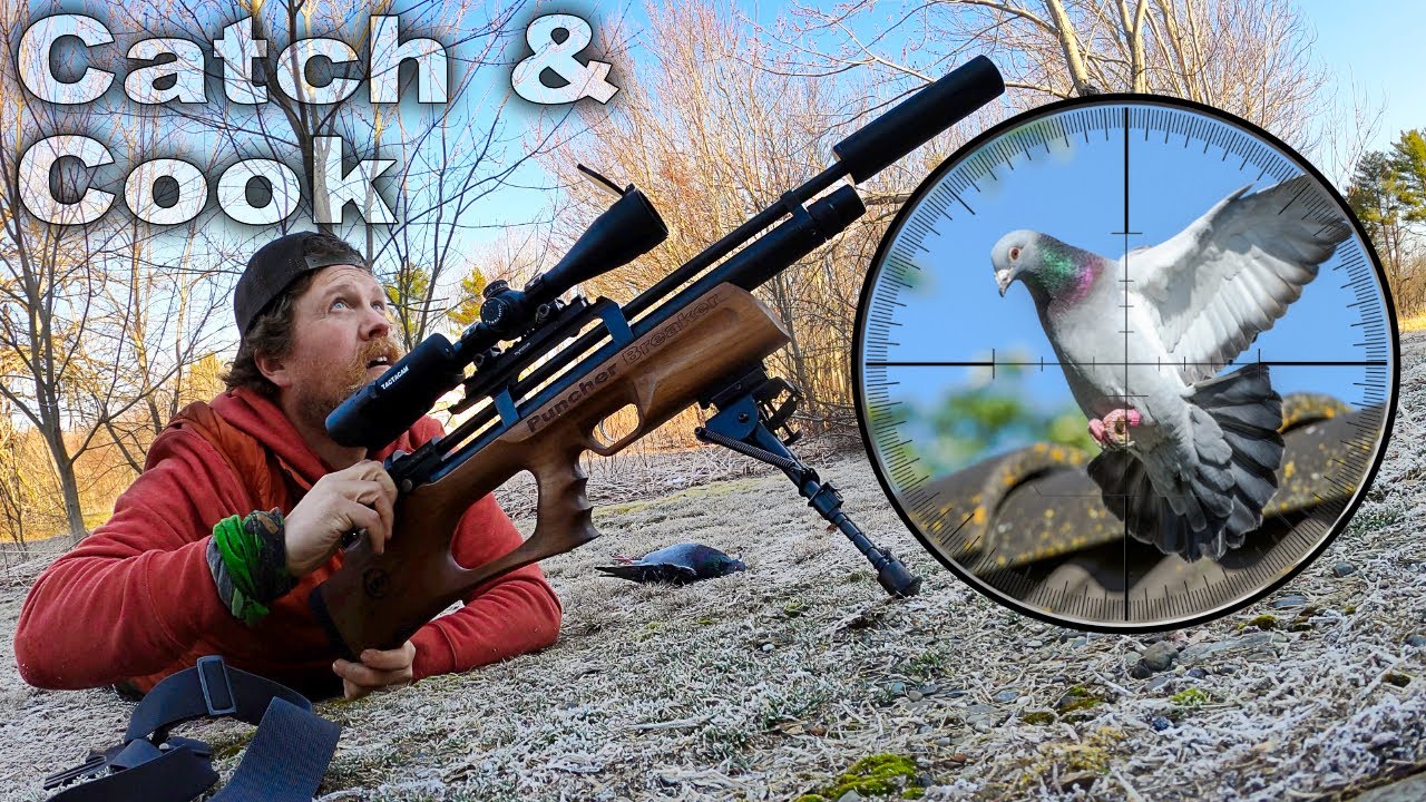 Pigeon Catch and Cook - Day 18 of 30 Day Survival Challenge Maine Lockdown