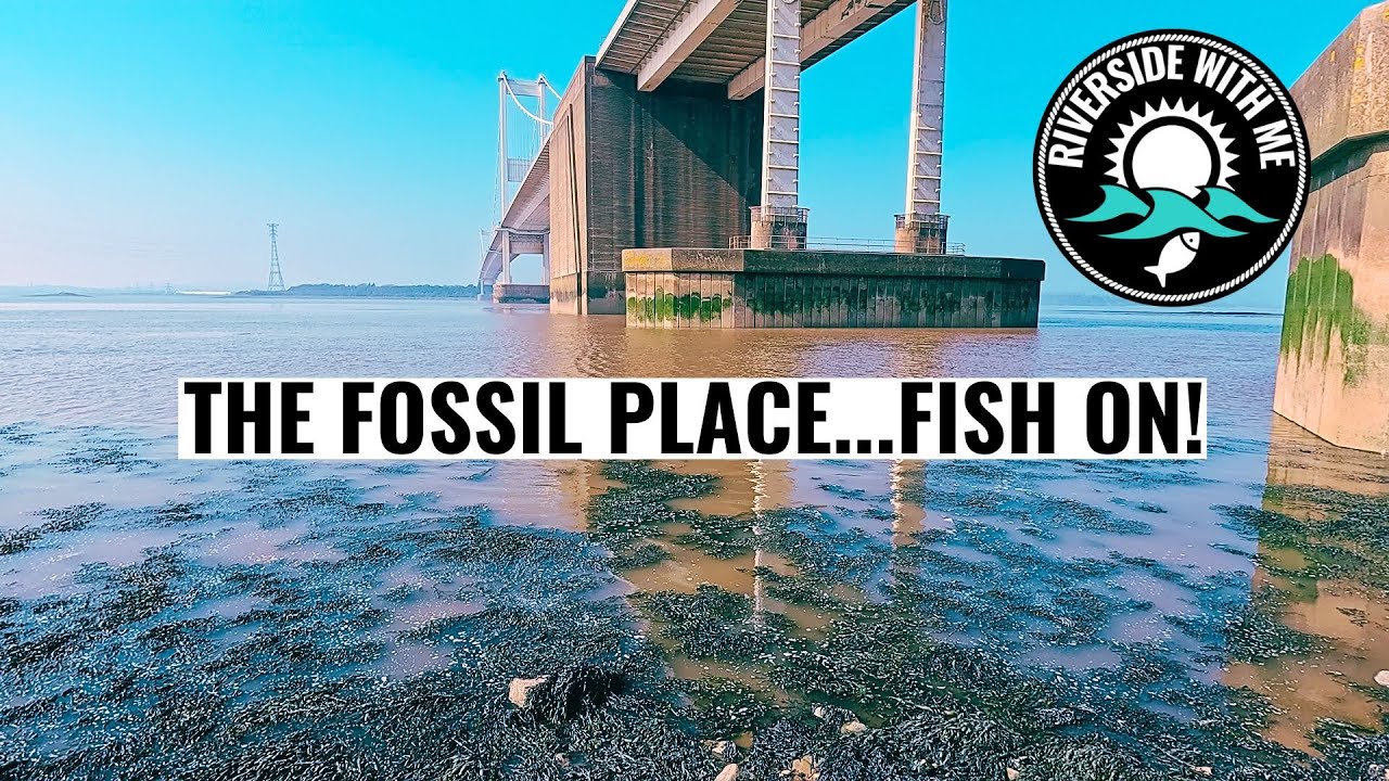 Aust Beach: A Great River Severn Sea Fishing Spot!