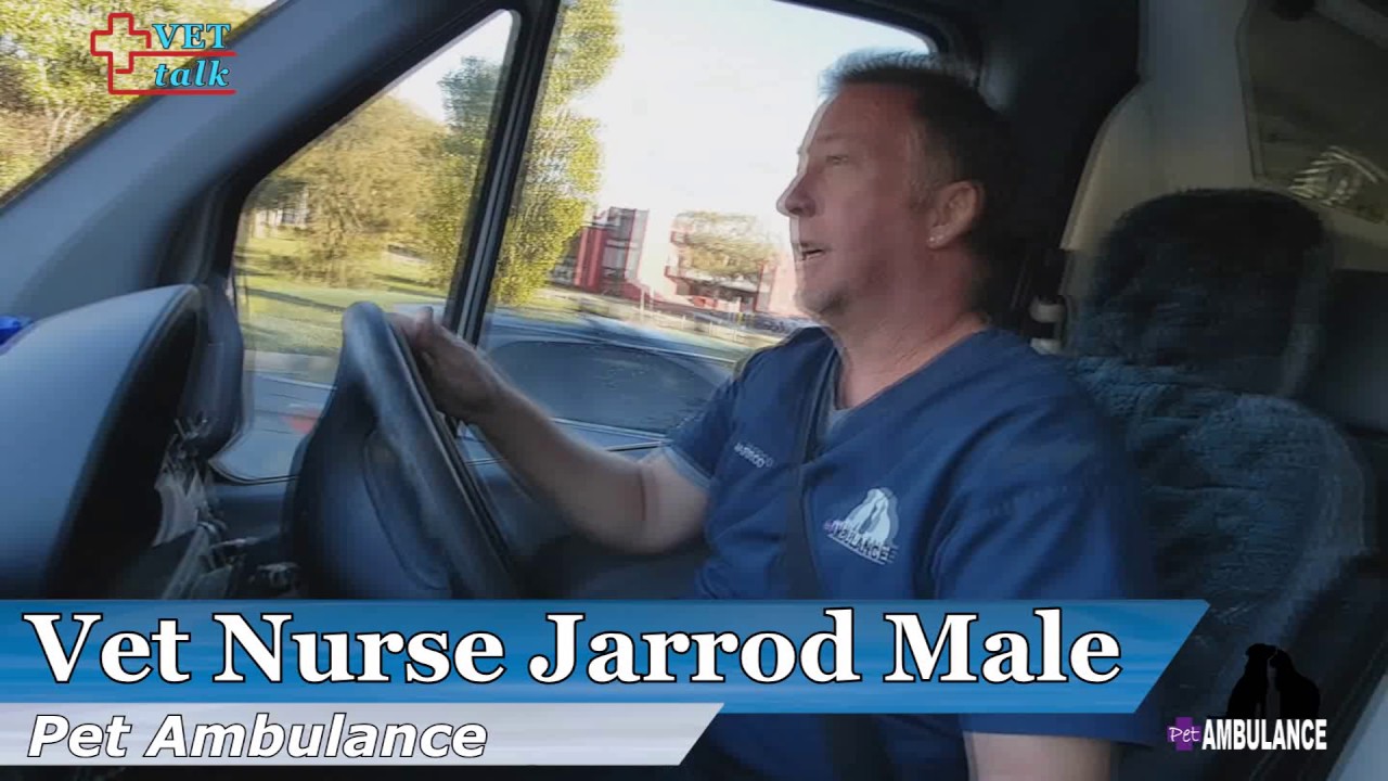 Pet Ambulance Canberra - Jarrod & Claudia Male