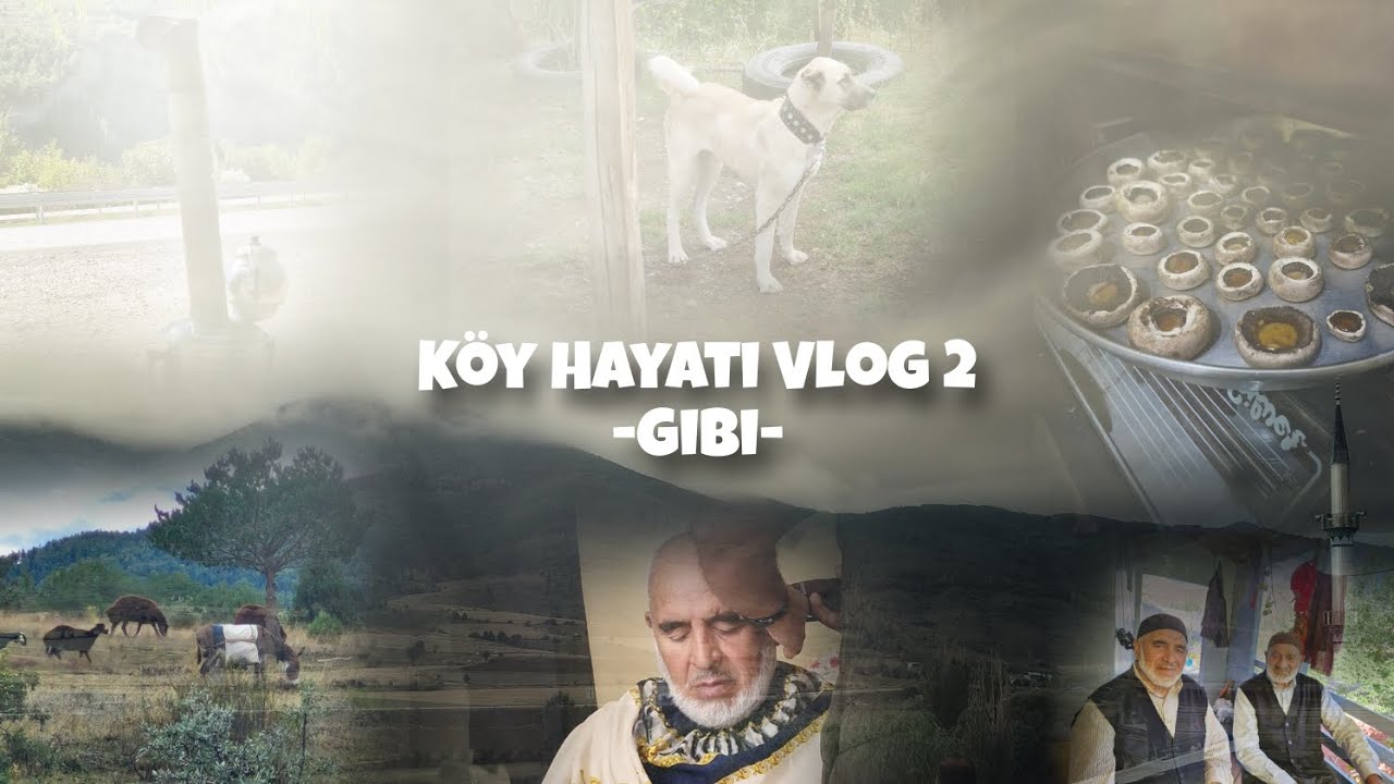 Köy Hayatı Vlog gibi (Gümüşhane-Kelkit/köylerinden)