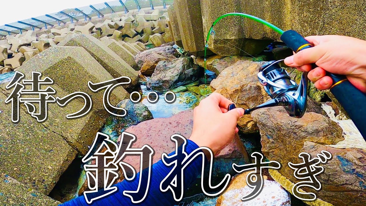 【穴釣り】自作エサで大物を釣ってきました